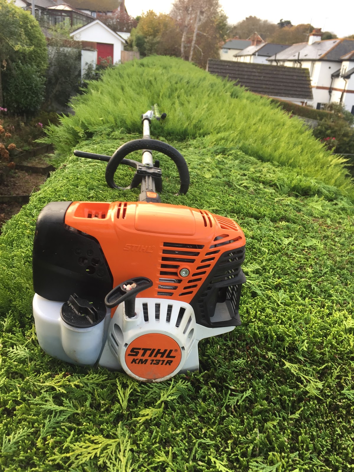 A petrol hedge trimmer resting on a freshly trimmed conifer hedge