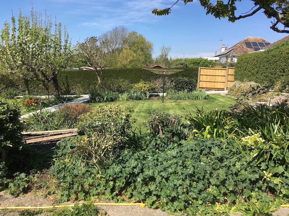 A landscaped Bridport garden with a curved paved path, flower borders and a neat lawn
