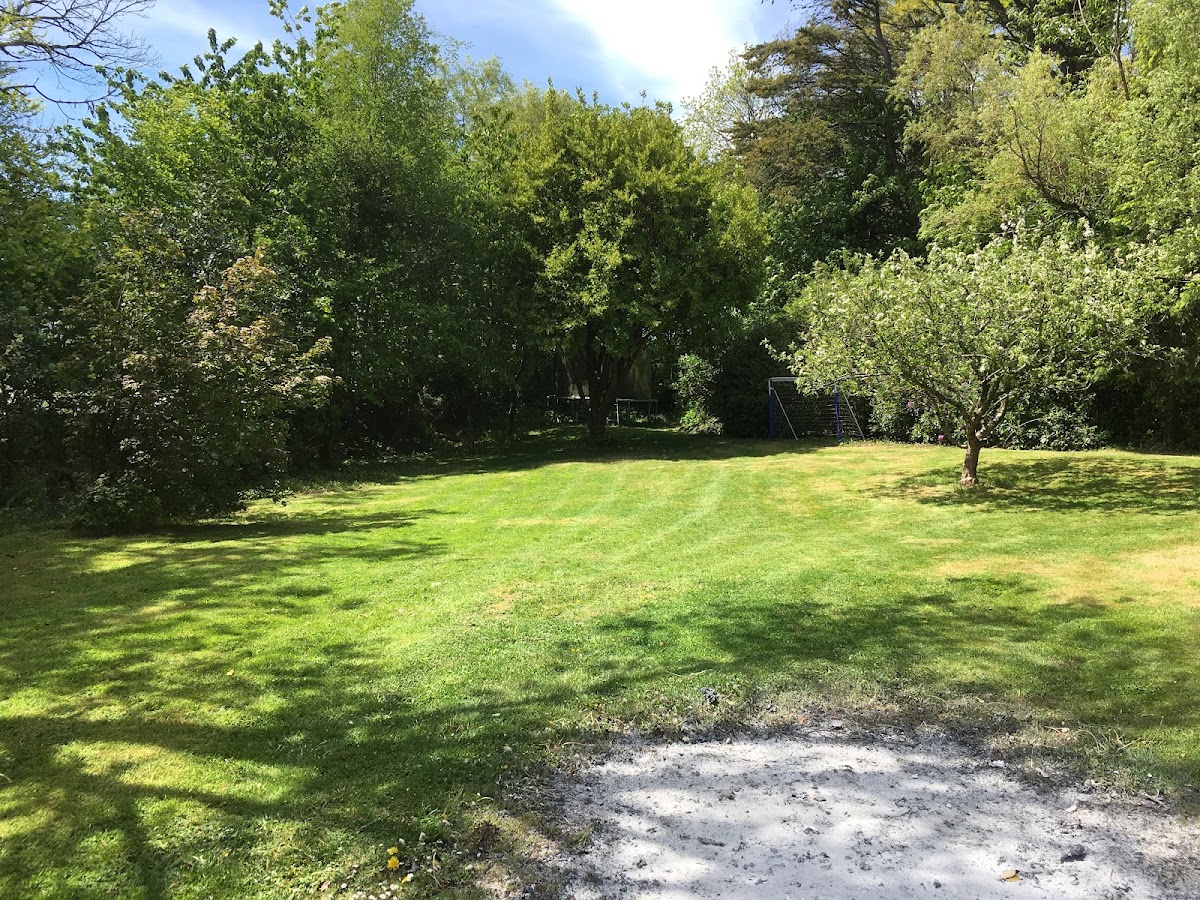 A mowed meadow and orchard lawn edged by mature trees